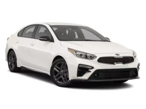 Cerato