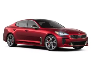 Stinger